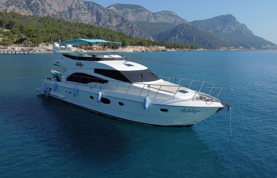 Leomar 59 Adelya