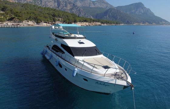 Leomar 59 Adelya