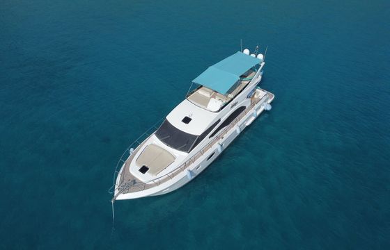 Leomar 59 Adelya