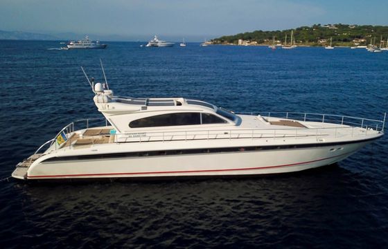 Leopard 23 Madness