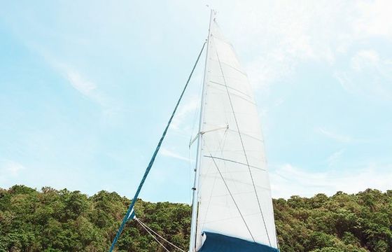 Leopard 47 Myra