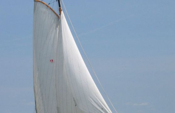 Lemsteraak 9.5 Mata Hari