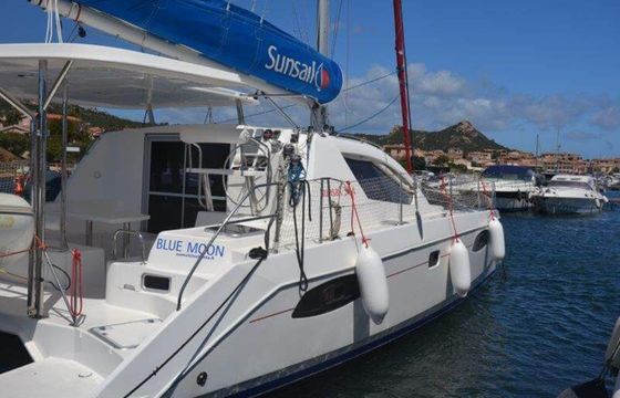 Leopard 384 Blue Moon