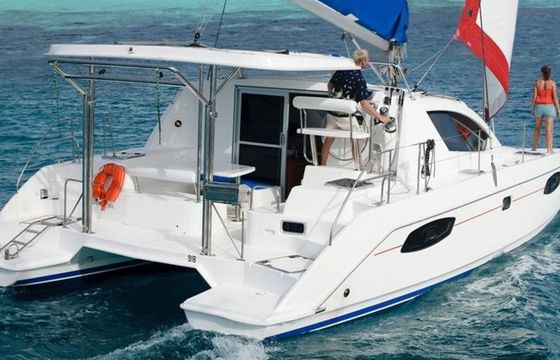 Leopard 384 Blue Moon