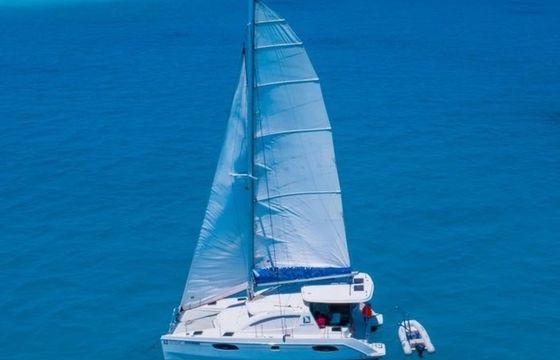Leopard 384 Blue Moon