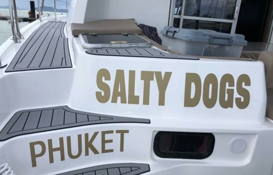 Leopard 384 Salty Dogs