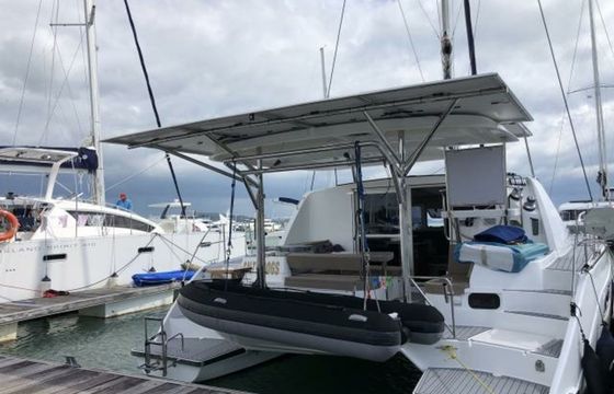 Leopard 384 Salty Dogs