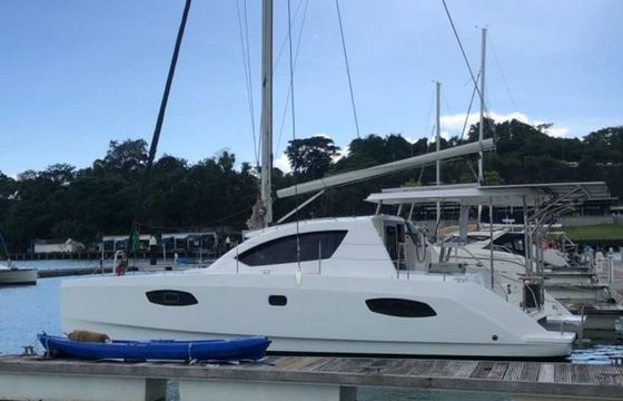 Leopard 384 Salty Dogs