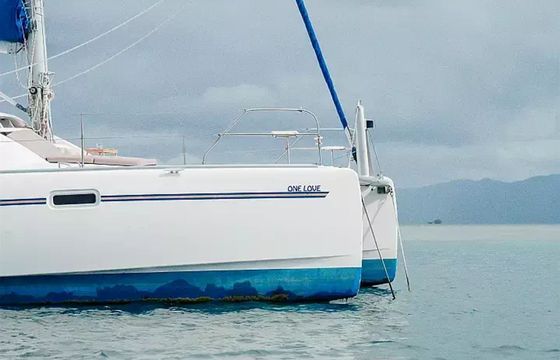 Leopard 40 One Love