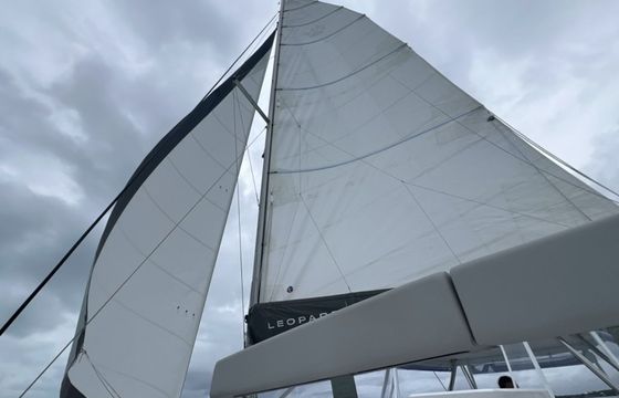 Leopard 42 Serenity