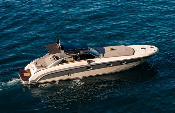Magnum 51 Lady Rose