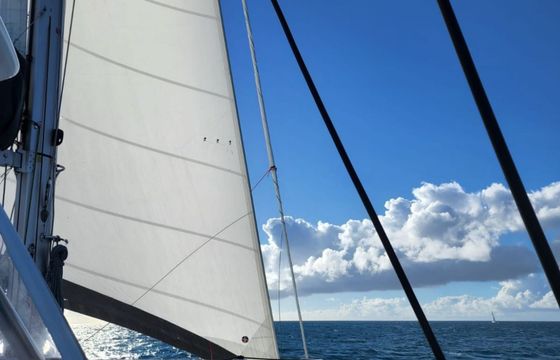 Leopard 50 Akula