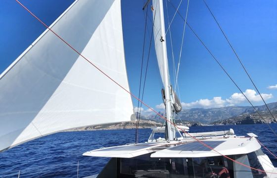 Leopard 50 Akula