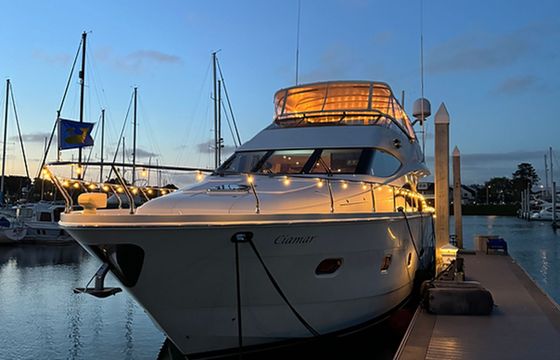 Marquis 65 Ciamar