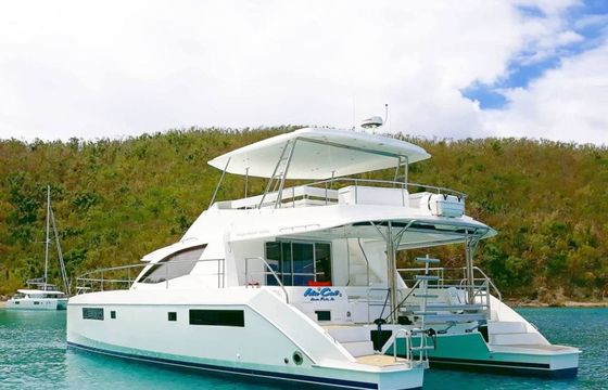 Leopard 51 PC Ida Cat