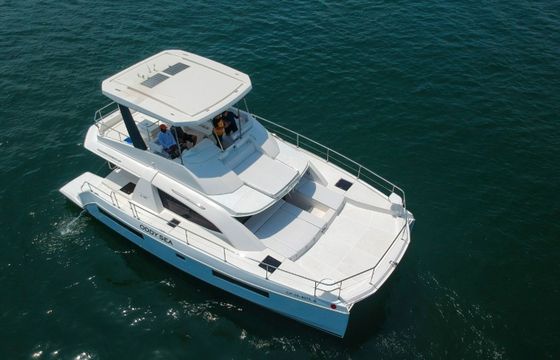 Leopard 43 PC Oddy Sea