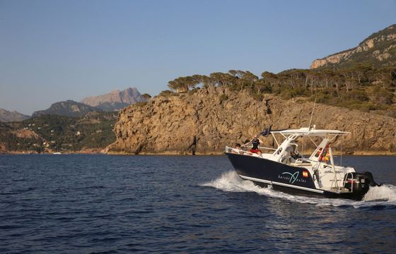 Moggaro 850 Sport Javier Capapuig