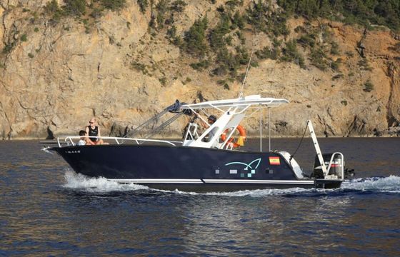 Moggaro 850 Sport Javier Capapuig