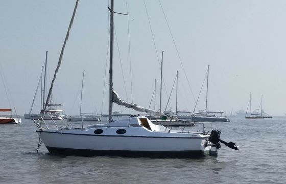 Maxi boats 77 Dark Secret Maxi 7.7