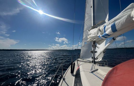 Maxi Fenix 28 Vespula