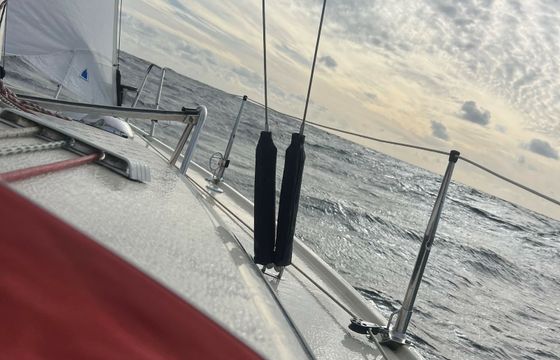 Maxi Fenix 28 Vespula