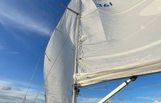 Maxi Fenix 28 Vespula