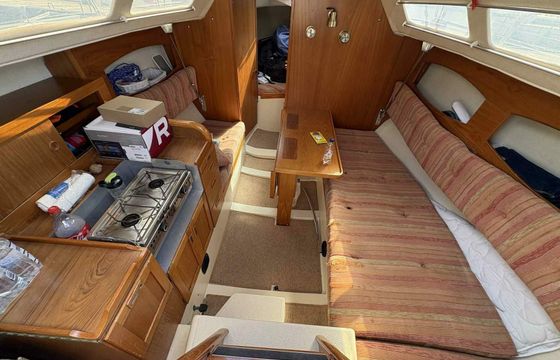 Maxi Fenix 28 Vespula