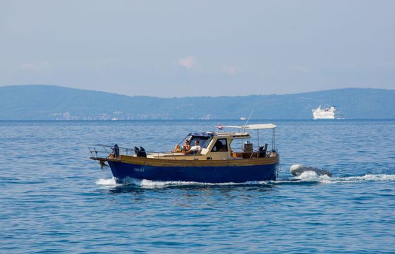 Leut 1950 Vagabundo