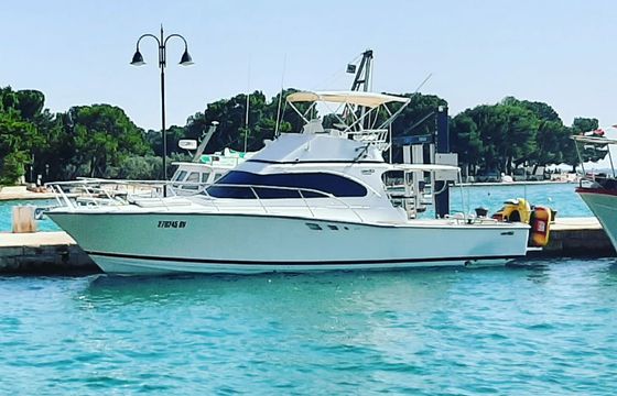 Luhrs 38 Hemingway