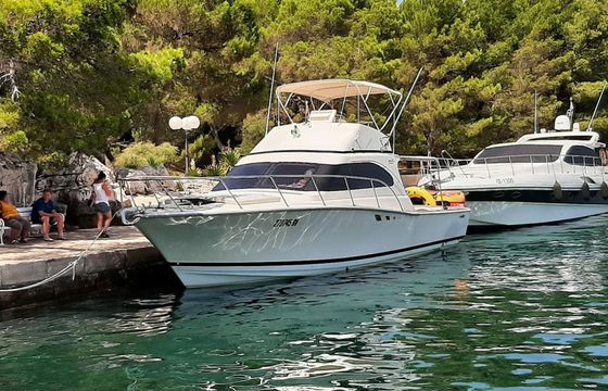 Luhrs 38 Hemingway