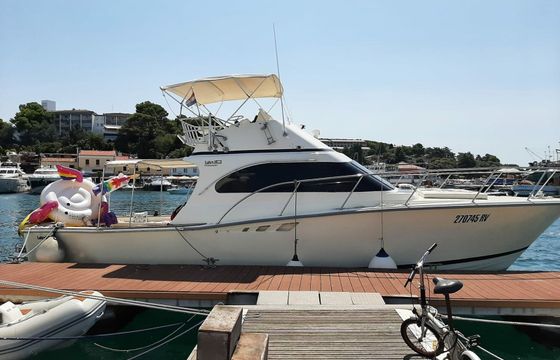 Luhrs 38 Hemingway