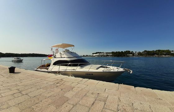 Luhrs 38 Hemingway