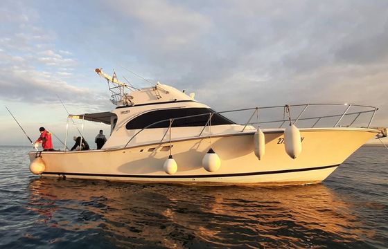 Luhrs 38 Hemingway