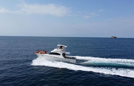 Luhrs 38 Hemingway