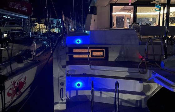 Leopard 50 Hakuna Matata