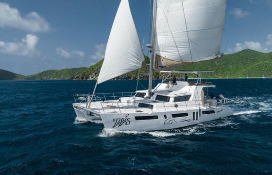 Majestic 570 Fly Tapas
