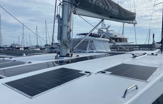 Leopard 50 Ms. Chief