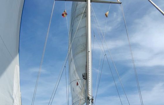 Mascot 33 Vaporetto
