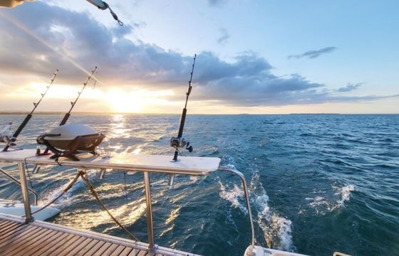 Maxim 38 Pelagic