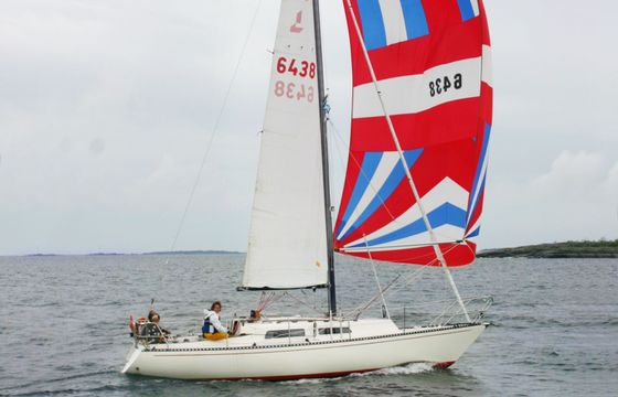 Linjett 30 Lonina