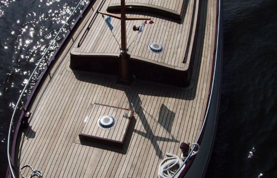 Motorbol 8.1 Waterhoen