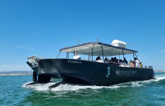 Nautiber Cat 12 FantastikSpirit