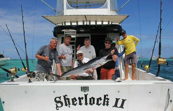 Mediterranean 39 Sherlock 2