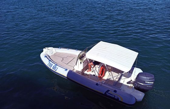 Marlin 18 Marlin