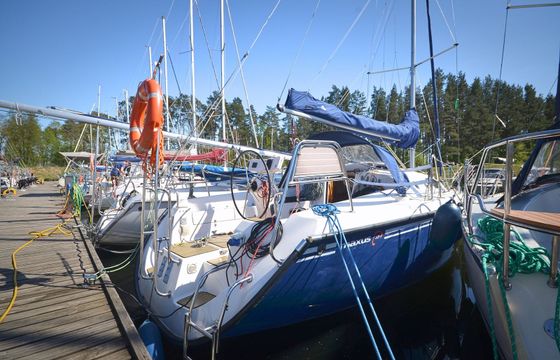 Northman Maxus 33 15