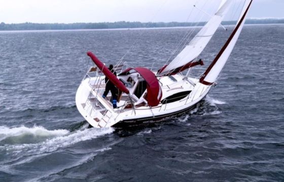Northman Maxus 33.1 Wiktoria