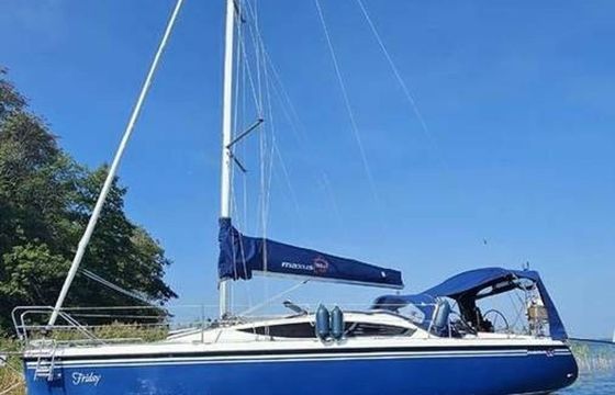 Northman Maxus 33.1 Friday
