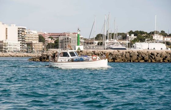 Menorquin 50 Lenteja 2
