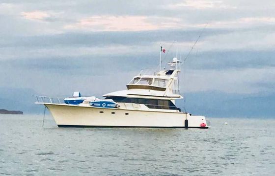 Mikelson 64 Costa Azul