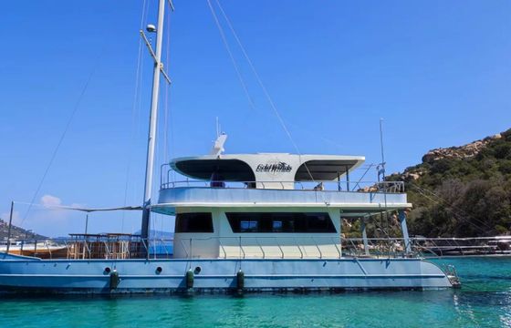 Motor Sailer 110 Gold Wind